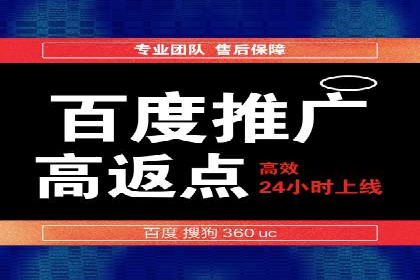 网络营销新篇章：竞价推广案例分析